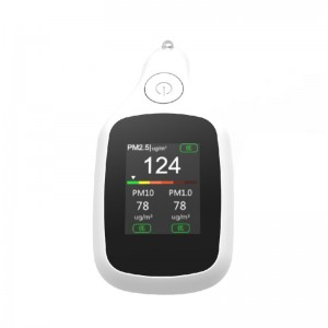 Dienmern Hot Sale PM2.5 Auto-køretøj Luftkvalitetsdetektor PM1.0 Indoor Air Quality Monitor PM10